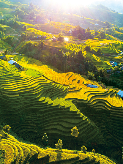 Viaja-a-Vietnam-con-una-agencia-local